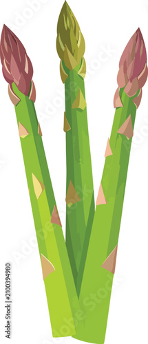 Isolated asparagus spears w...