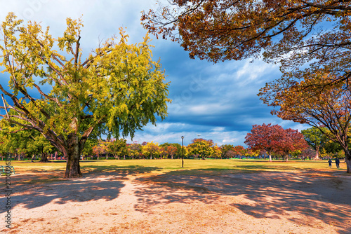 Autumn colors brighten the grounds of a historical castle in Kumamoto City, Japan during a pleasant day