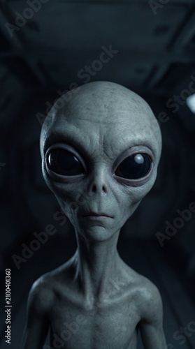 A close-up, realistic portrait of a gray alien with large, dark eyes and a slender body, set against a dark, blurry background, evokes a sense of mystery and the unknown.