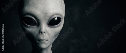 A close-up, detailed portrait of a grey alien with large, dark eyes and an extraterrestrial head shape against a dark, textured background, evoking mystery and the unknown.