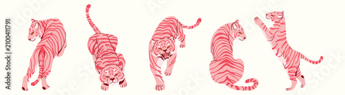 Photography Collection of hand drawn tigers in different poses