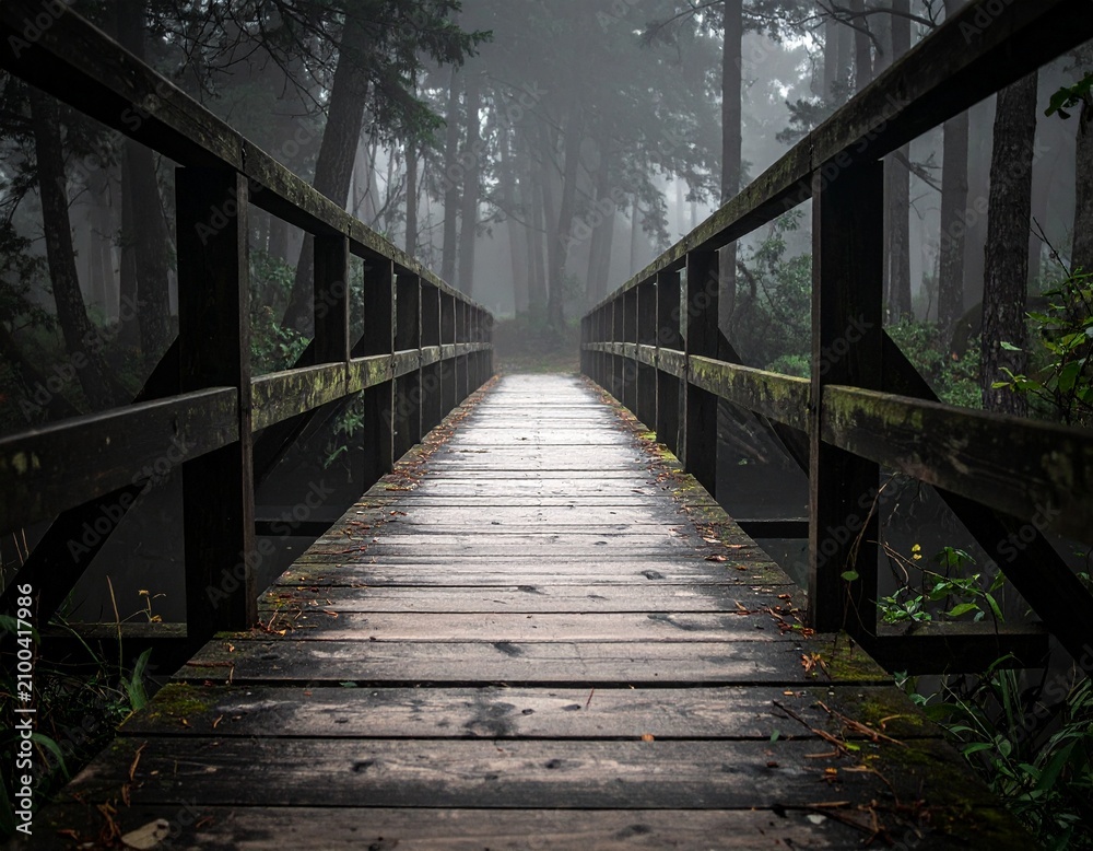 Obraz premium Wooden Bridge Covered in Dense Morning Fog in Forest