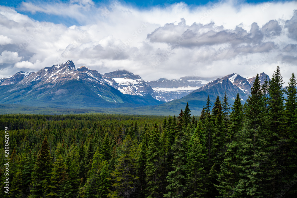 Obraz premium Snow-capped mountains rise above dense evergreen forest beneath dramatic summer clouds in the Canadian Rockies, Alberta, Canada.