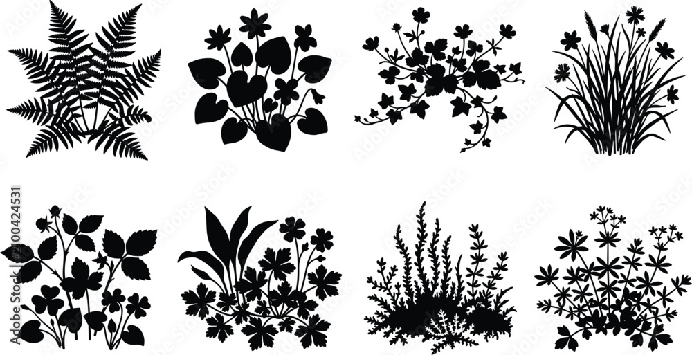 Fototapeta premium Botanical Plant Silhouette Collection Set with Fern Wildflowers Grass and Garden Foliage Vector