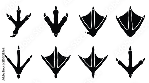 Schilderij op canvas Collection of eight black bird and waterfowl footprints, isolated on a white bac