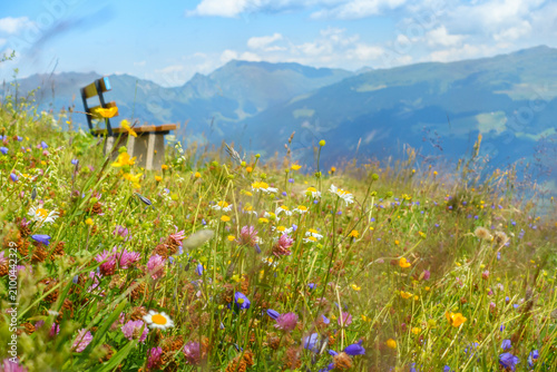 Holzbank mitten in einer Bergblumenwiese mit herrlicher Aussicht in die Alpen