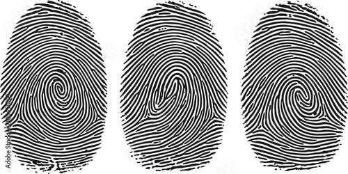 Bild auf Leinwand Three distinct fingerprint patterns displayed side by side in stark black ink on