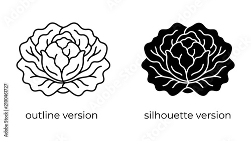 Bild auf Leinwand Cabbage Icon Set: A clean outline and a bold silhouette of a cabbage head, representing fresh produce and healthy eating