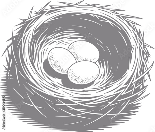 Tablou pe pânză 白い背景に隔離された、3つの小さな卵が入った鳥の巣の詳細な白黒イラスト