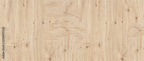 Cuadro en lienzo Wood texture background showing rustic pine grain with numerous small knots for