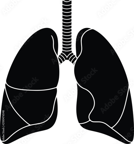 Canvastavla Black Silhouette of Human Lungs and Trachea.