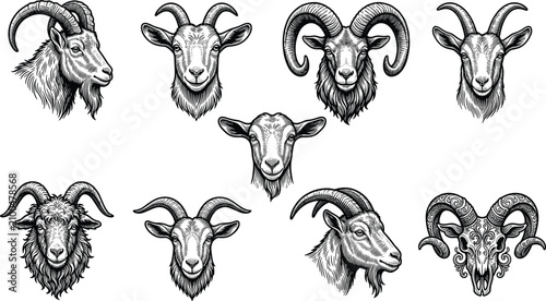 Foto Goat head portraits ram horns and animal skull vintage engraving style vector em