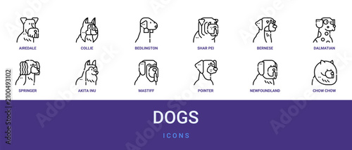 Bild auf Leinwand Set of 12 outline web Dogs icons such as chow chow, newfoundland, pointer, masti