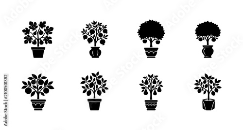 Foto Fruit tree in pot icon set