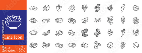 Fotografi Nuts and seeds related line icons set