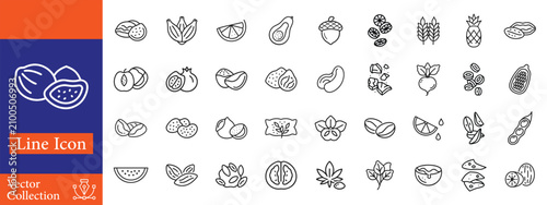 Fotografi Nuts and seeds related line icons set