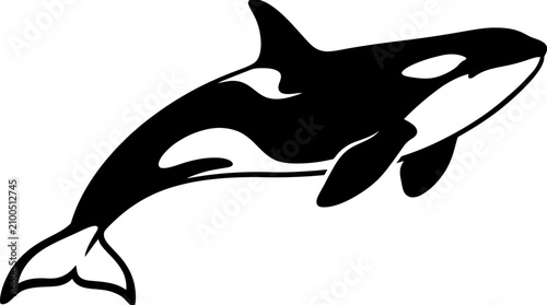 Orca Whale Minimalist Vector Illustration