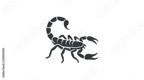 Bilde på lerret Black scorpion isolated on white background.