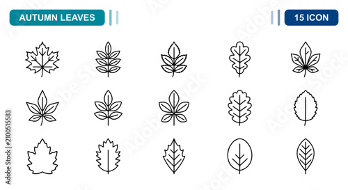 Quadro su tela 15 Autumn leaves linear icon set maple oak chestnut foliage, UI and web interfac