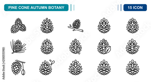 Foto 15 Pine cone linear icon set conifer seeds, autumn botany, forest tree, UI and w