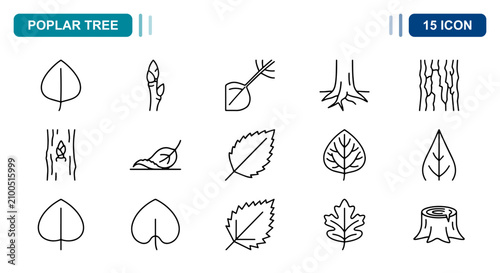 Cuadro en lienzo 15 Poplar tree linear icon set leaf, bark, root, stump, bud, UI and web interfac