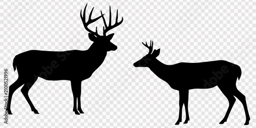Принти на полотні deer silhouette, Silhouette of a majestic Stag and adorable Fawn on a White Back