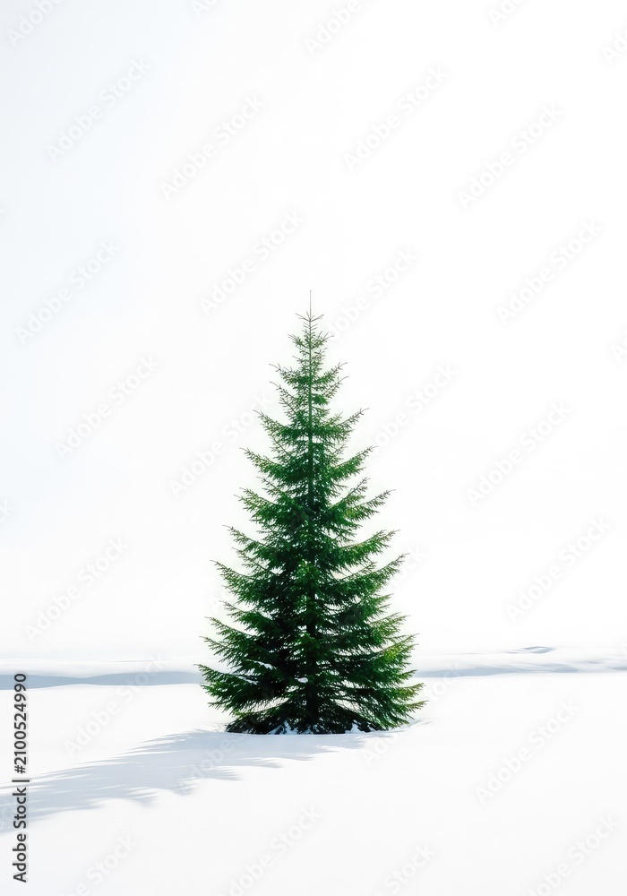 Fototapeta premium A sleek minimalist evergreen tree stands alone in a vast snowy field. The scene features a clean white background with soft winter light, festive, woods, silence