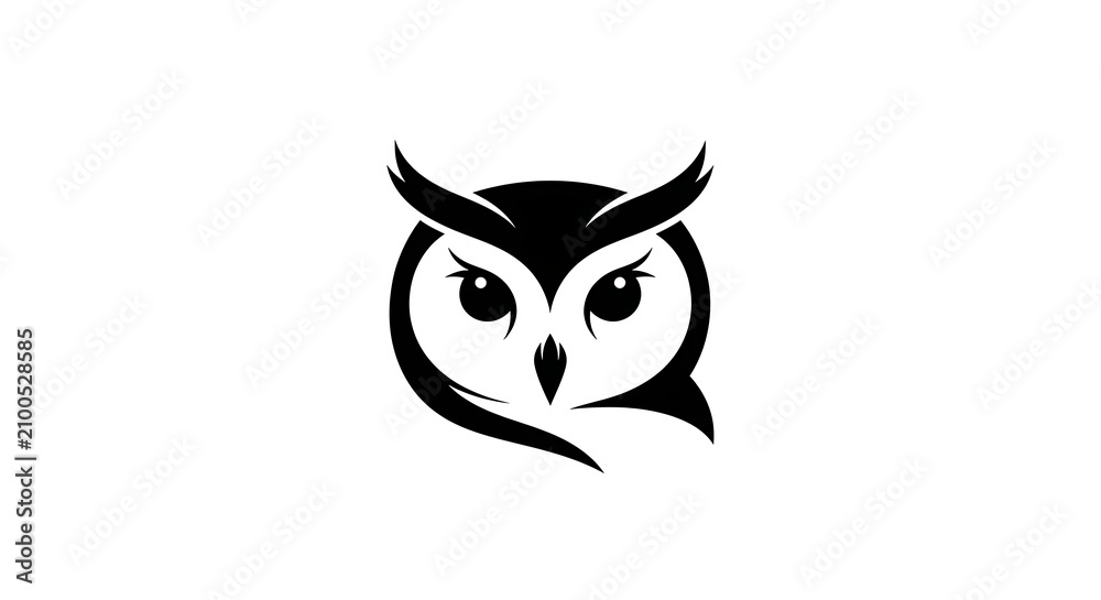 Fototapeta premium A minimalist black and white illustration of an owl's face with large eyes