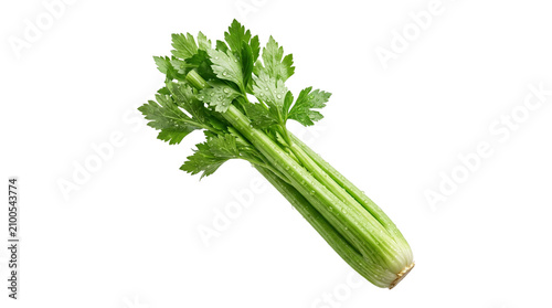 Foto Fresh green celery stalk with leaves isolated on transparent background png healthy vegetable for cooking