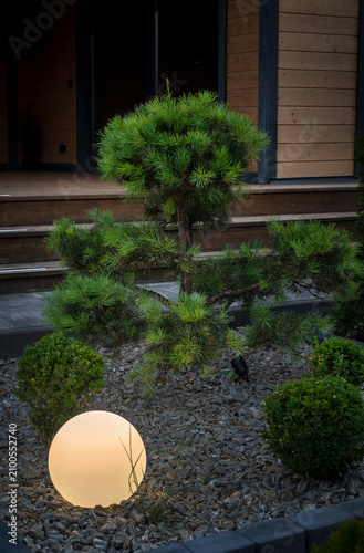 bonsai style, design with decorative pebbles, garden lamps balls