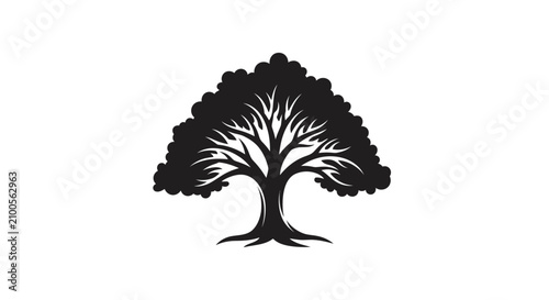 фотографія Black silhouette of a tree with sprawling branches on white background with bran