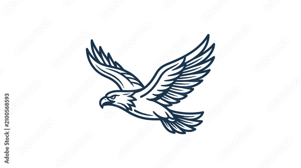 Fototapeta premium Eagle Bird Flying Wings Spread Wide.