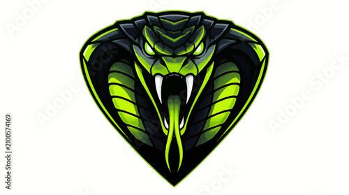 Fotografie Aggressive Cobra Snake Head Illustration Fierce Reptile.