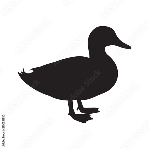 Duck Stretching Wings Silhouette