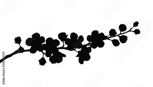 Cherry blossom branch blooms with delicate petals against a clean white background in this graphic.