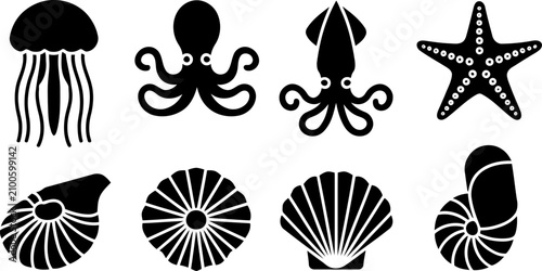 Fotografia Black silhouettes of various sea creatures and shells on white background