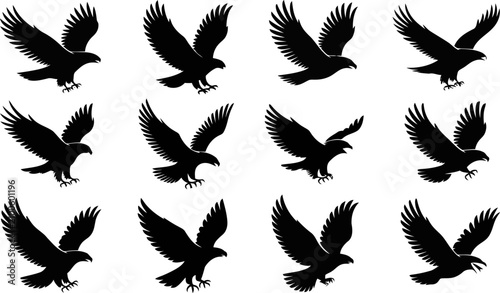 Konstfotografi Collection of various eagle silhouettes in different flying positions on white b