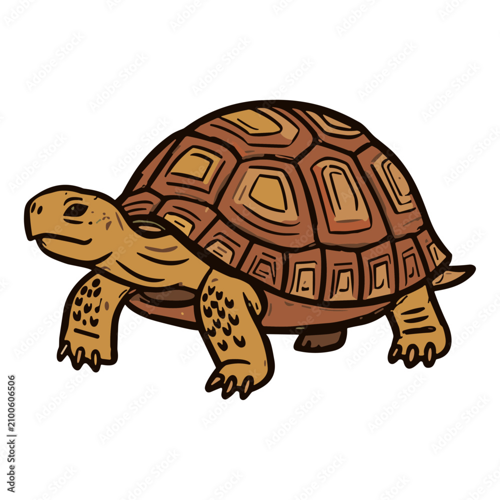 Obraz premium Hand drawn illustration of a cute brown tortoise walking on a white background.