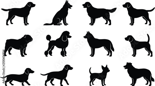 Cuadro en lienzo Canine breeds agility silhouettes set featuring black shadow stencils of hunting