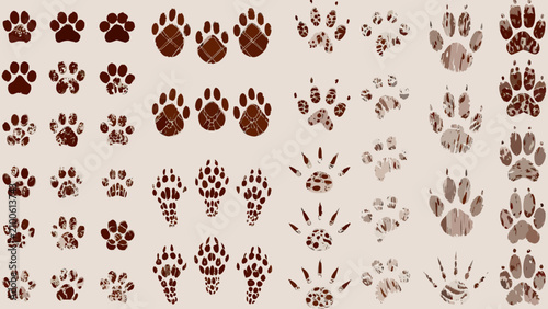 Konstfotografi Collection Of Animal Paw Prints And Tracks Vector Illustration