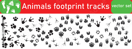 Photos Animals footprint tracks