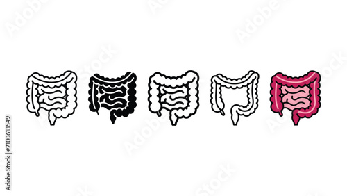Quadro su tela Set of human large and small intestine icons in various artistic styles