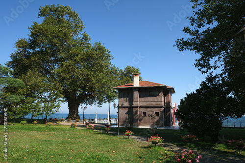 Yalova Walking Mansion Müzesi (Yürüyen Köşk) Atatürk, resting for a while under the shade of that plane tree ordered a mansion to be built near it in 1927.