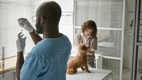 African American male veterinarian preparing syringe for injection while Caucasian female owner comforting poodle dog on table. Ideal for pet healthcare and veterinary clinic promotions