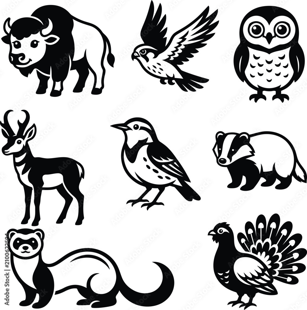 Fototapeta premium A selection of stylized black and white vector illustrations featuring various wild animals and birds for original illustration structure projects.