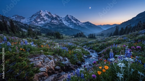 This spectacular nature photograph captures a pristine mountain wilderness at dawn, complete with jagged snowy summits, a rushing creek, and blooming wildflowers.