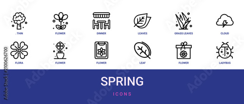Set of 12 outline web Spring icons such as ladybug, flower, leaf, flower, flower, flora, cloud computing vector icons for report, presentation, diagram, web design, mobile app