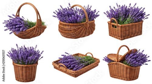 Lavender Flower Bunches in Wicker Baskets - Isolated on White Background