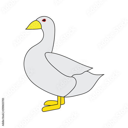 Fotografía duck on white background