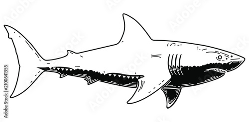 Canvastavla Great white shark illustration